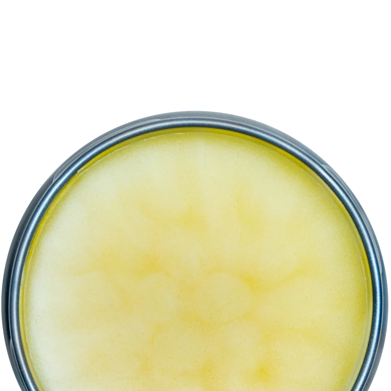 Open container of Battle Balm all natural & organic pain cream for athletes and high performance humans