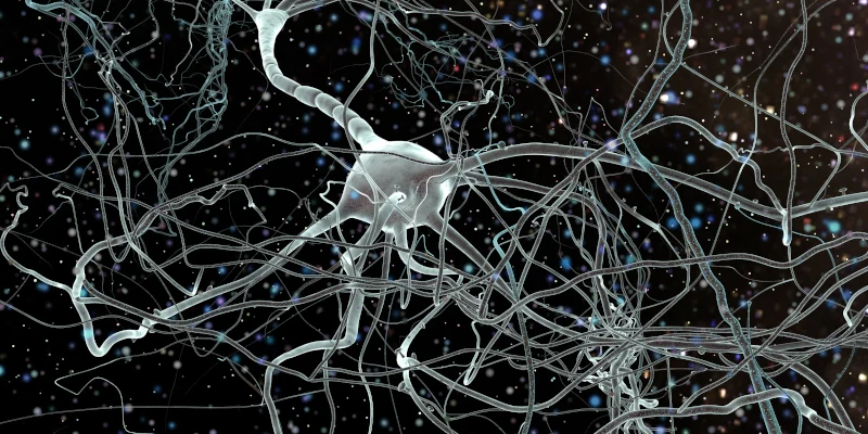 Neuron network haywire